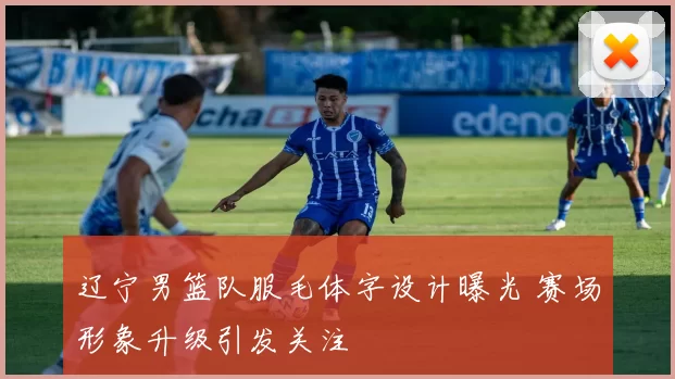 辽宁男篮队服毛体字设计曝光 赛场形象升级引发关注